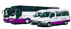 Busse mieten, Minibusse chartern